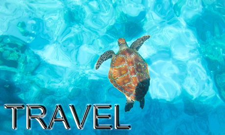 travel pad